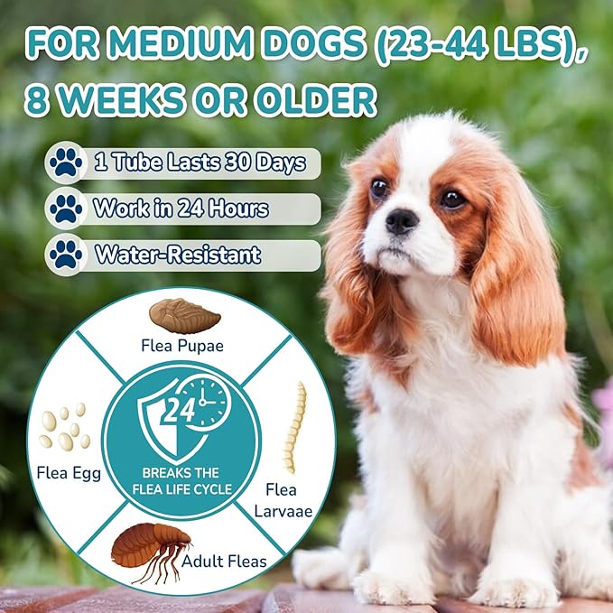Flea and Tick Prevention for Dogs, 6-Month Supply Dog Flea and Tick Treatment Drops, Topical Fast-Acting Dog Treatment for Medium Dogs Up to 23 to 44 lbs-PawvioPets