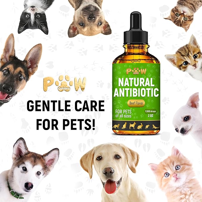 Antibiotics for Dogs | Antibiotics for Cats | Herbal Supplement for Digestion, Breathing, Urination | for Infections, Cough, Allergies | Beef Flavor & Cranberry | for All Pet Breeds | 2 Oz-PawvioPets