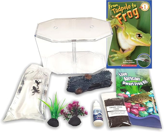 African Dwarf Frog Starter Kit- Includes Certificate for 2 Live Frogs- All-in-One Bundle with Book, Small Aquarium, Food, Instructions Now-PawvioPets