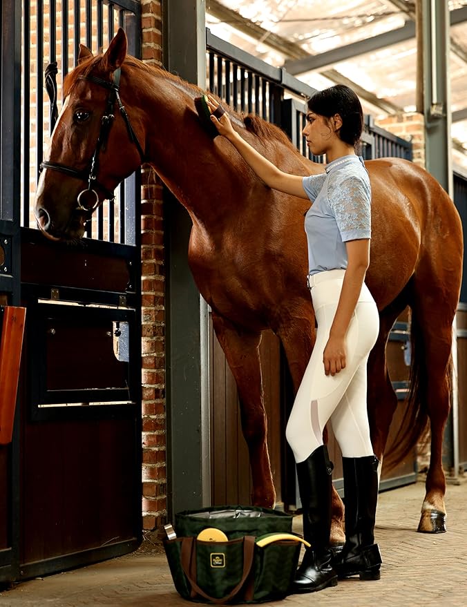 9PCS Horse Grooming Kit Curry Comb Sweat Scraper Horse Bathing Supplies Grooming Tools with Storage Bag Pasture Glow-PawvioPets