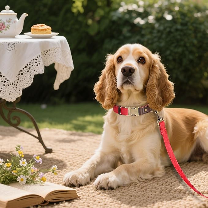 Didog Soft PU Leather Dog Collars for Medium Dogs,Classic Adjustable Dog Collars with Quick Release Metal Buckle,Easy Clean and Comfortable with Nylon Lining,Red,M Neck 13-19"-PawvioPets