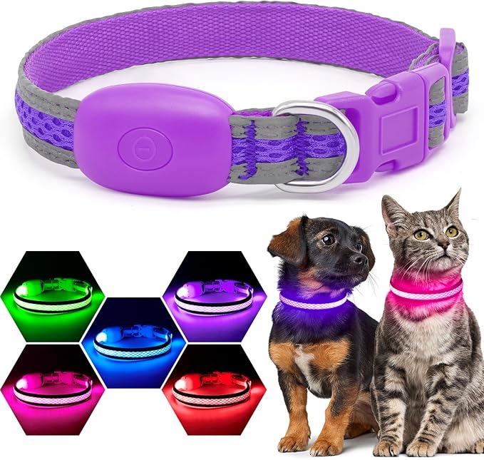 Flashseen LED Cat Collar,Light Up Dog Collar Rechargeable, Dog Lights for Night Walking, Comfortable Soft Mesh Pet Collar Adjustable for Cats Puppy and Small Dogs (Purple, XS)-PawvioPets
