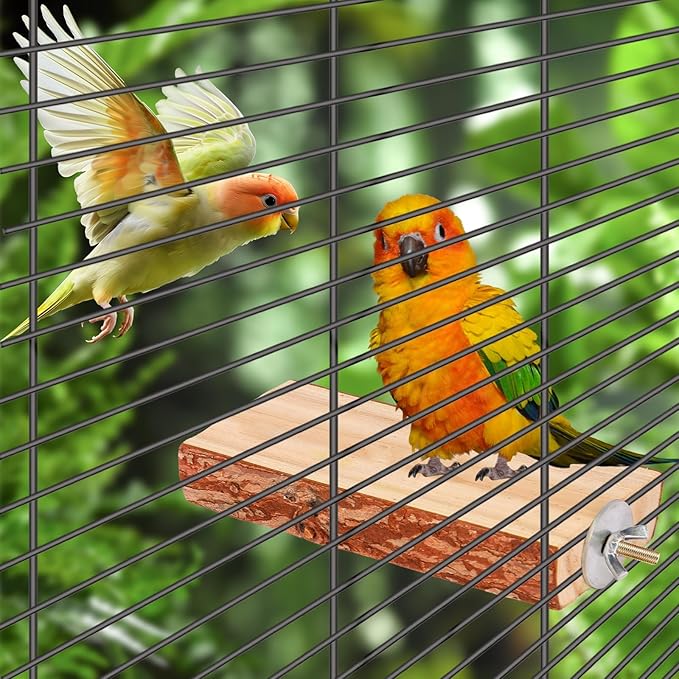 Bird Toys Parakeet Perch Budgie Perch Wood Stand Fork Toys Multi-Branch Perch Platform Toy for Small Conures,Cockatiel,Parrotlet,Lovebird,Parrot,Finches-PawvioPets