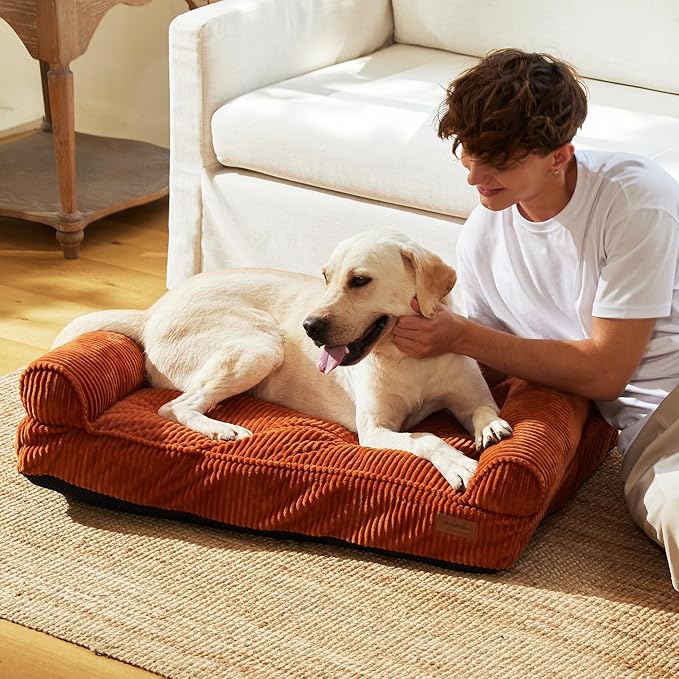 FUKUMARU Cute Dog Bed, Fluffy Dogs Couch with TPU Layer Keeping Lining Dry, Pet Sofa Medium Size Dog Easy to Care, Warm Cat Bed with Removable Zipper Cover, 36inch, Large, Orange-PawvioPets