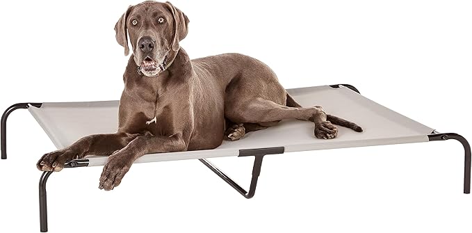 Amazon Basics Cooling Elevated Breathable Pet Bed For Dog, X-Large (60.1 x 37.1 x 8.9 Inches), 1 count, Grey-PawvioPets
