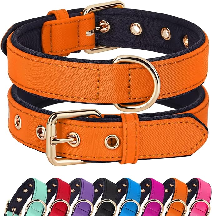 Didog Soft Padded Dog Collars for Small Dogs, Lightweight and Breathable Dog Collar with Metal Buckle for Puppy, Orange, S-PawvioPets