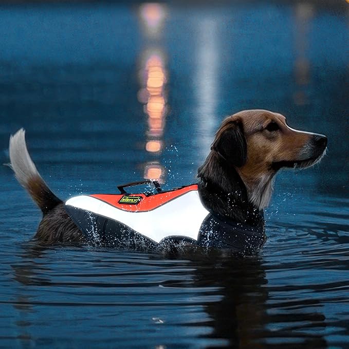 Adjustable Reflective Life Jacket for Medium Dogs - Buoyancy Swim Vest, Rescue Handle Dog Flotation Device, Beach Essentials, Dog Life Vests for Boating, Beach, Pool(M, Orange)-PawvioPets