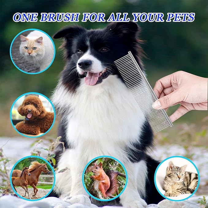 Dog Comb and Cat Combs Stainless Steel Teeth, Grooming Tool for Long & Short Hair, Dematting Comb for Dogs, Removes Tangles & Knots (Large Silver)-PawvioPets