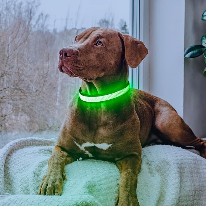 Flashseen LED Dog Collar, Light Up Dog Collar Lights USB Rechargeable, Adjustable Comfortable Soft Mesh Safety Collar for Small, Medium, Large Dogs(Large, Neon Green)-PawvioPets