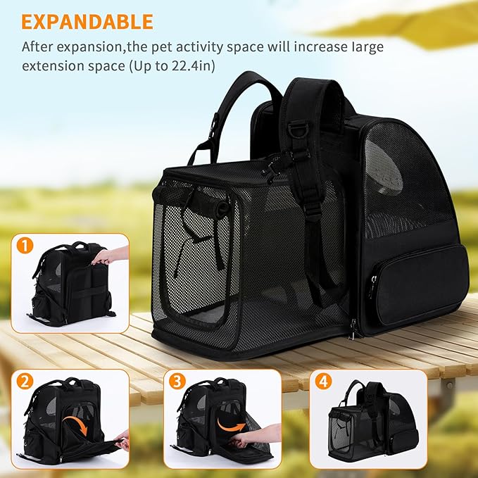 Expandable Pet Carrier Backpack with Transparent Bubble Window, Gray Mesh Travel Bag, Portable Space Capsule Design with Foldable Dogs Carrier for Pets (Black)-PawvioPets