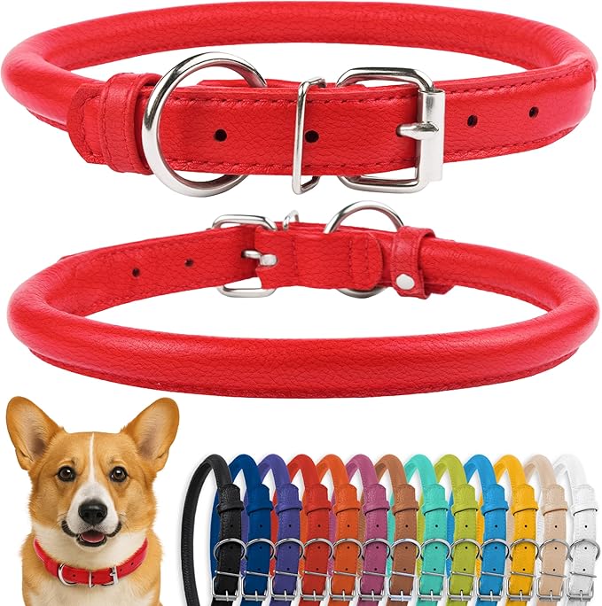 CollarDirect Rolled Leather Dog Collar, Soft Padded Round Puppy Collar, Handmade Genuine Leather Collar Dog Small Large Cat Collars 13 Colors (13-16 Inch, Red Textured)-PawvioPets