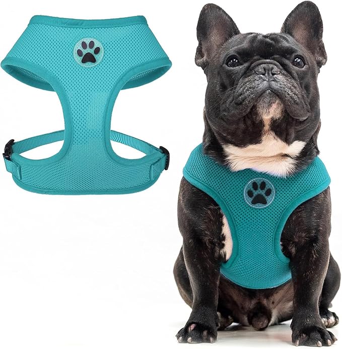 BINGPET Small Dog Harness - Breathable Mesh Puppy Cat Harnesses - No Pull Adjustable Dog Harness Dog Vest Harness for Small and Medium Dogs-PawvioPets