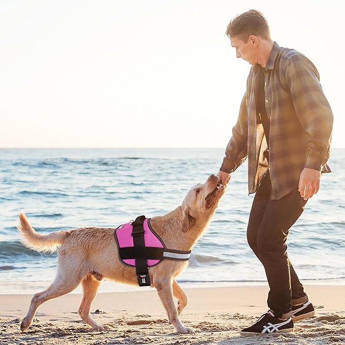 Dogline Dog Harness, Reflective No-Pull Adjustable Vest with Handle for Walking, Training, Breathable, No - Choke Harness for Small, Medium or Large Dogs Room for Patches Girth 33"-46" in Pink-PawvioPets