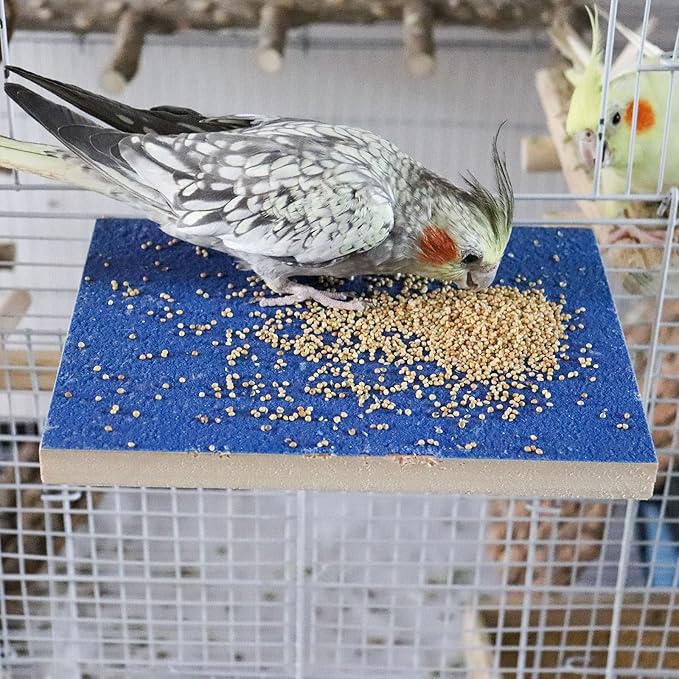 7.9×5.9 Inches Large Bird Perch Stand Platform, Natural Wooden Bird Cage Accessories, Bird Stand Perch with Rough Quartz Sand Surface for Parrot, Parakeet, Budgies, Cockatiel, Rats-PawvioPets