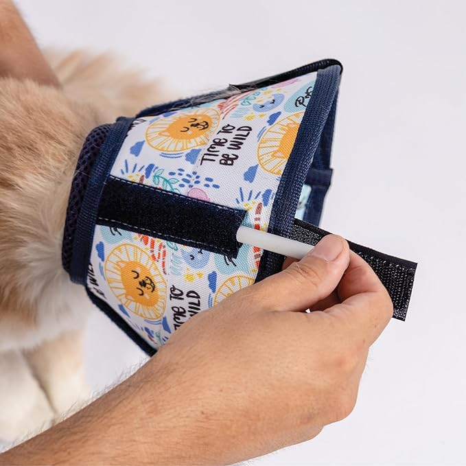 Cat Cone Collar – Colorful Cat Pattern - Lightweight Recovery Cone for Cats, Anti-Lick & Anti-Scratch, Vet Recommended, Elizabethan Collar (Colorful, XXS Long [Neck Girth: 7.5"-10.3"])-PawvioPets