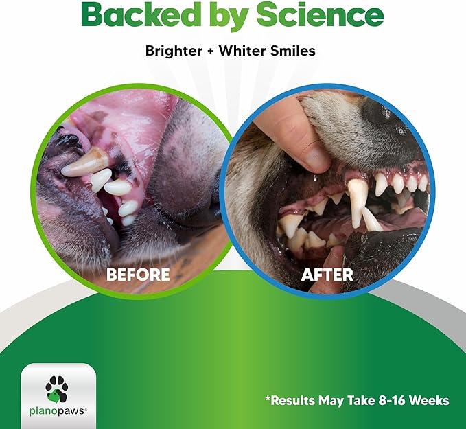 Dog Teeth Cleaning Powder - Plaque and Tartar Remover - Dental Powder with Bactase PET - Breath Freshener for Overall Dental Care - Supports Mouth, Teeth, and Gum Health for All Ages and Sizes-PawvioPets