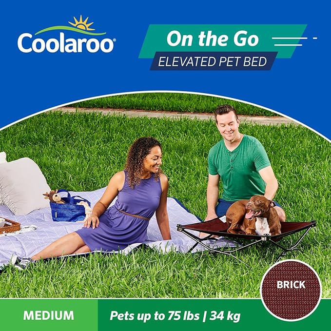 Coolaroo On-The-Go Elevated Dog Bed - Foldable Pop-Up Travel Dog Bed with Breathable, Moisture-Resistant Fabric, Carry Bag Included, Lightweight & Portable, Brick, Medium-PawvioPets