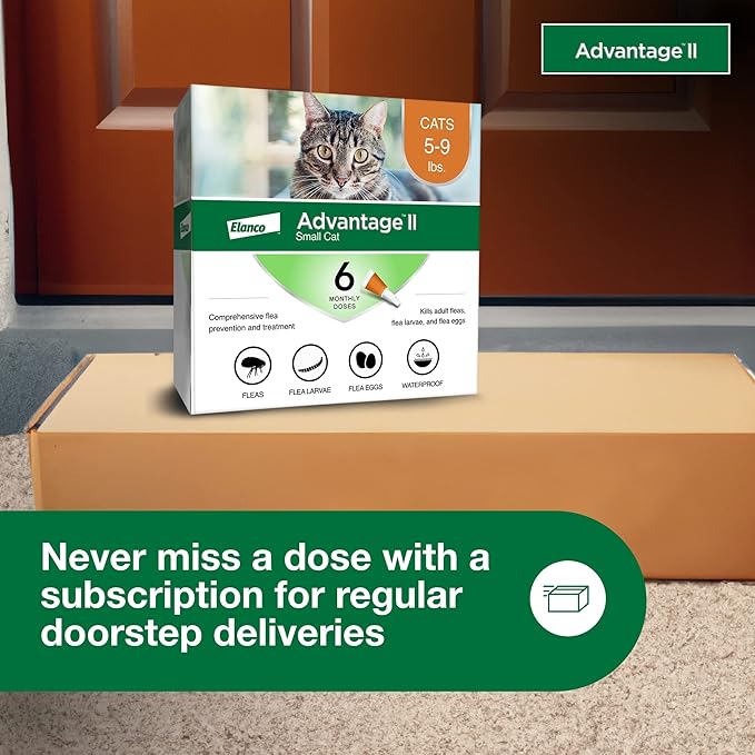 Advantage II Small Cat Vet-Recommended Flea Treatment & Prevention | Cats 5-9 lbs. | 6-Month Supply-PawvioPets