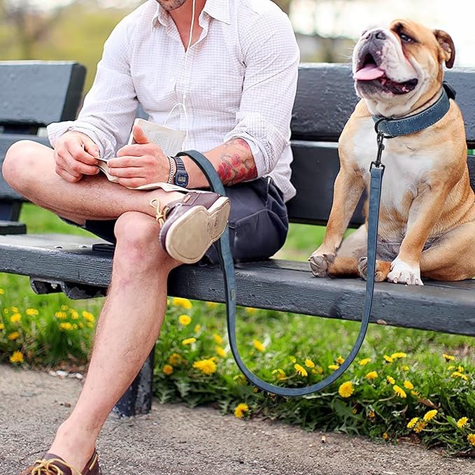 Didog Soft Padded Leather Dog Collar and Leash Set, Adjustable Dog Leash and Collar Set with Metal Buckle, Breathable Dog Collars with 4FT PU Leather Dog Leash for Medium Large Dogs, Blue, L-PawvioPets