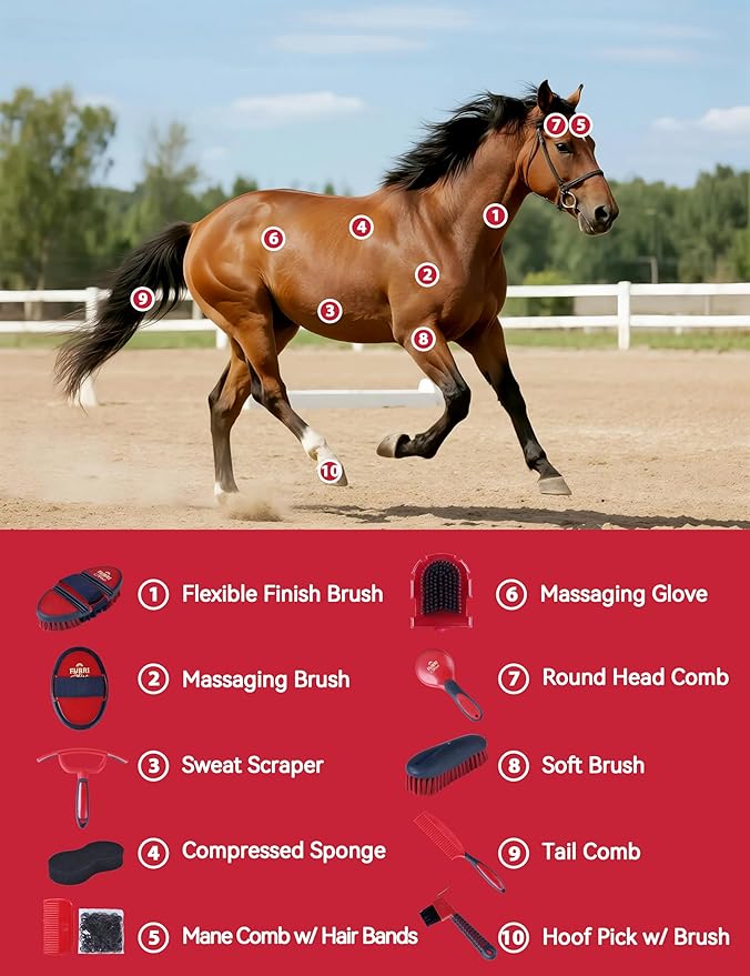 11PCS Horse Grooming Kit Curry Comb Sweat Scraper Horse Bathing Supplies Grooming Tools with Storage Bag Shadowberry-PawvioPets