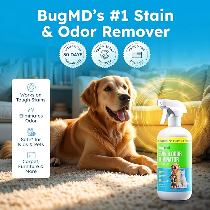 BugMD Enzyme Cleaner for Dog & Cat Urine | Pet Stain and Odor Remover for Carpet & Home | Unscented Urine Destroyer & Deodorizer-PawvioPets