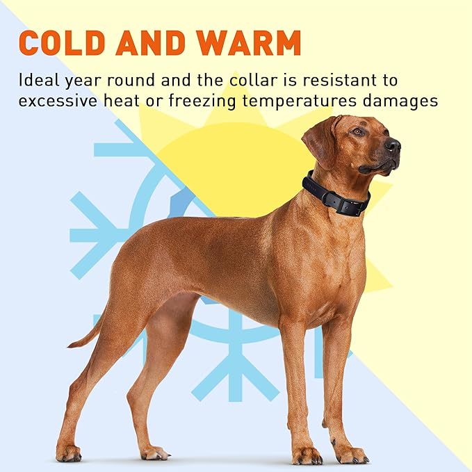 Dogline Biothane Waterproof Dog Collar Strong Coated Nylon Webbing with Black Hardware Odor- Proof for Easy Care Easy to Clean High Performance Fits Small Medium or Large Dogs, Cherry Red-PawvioPets