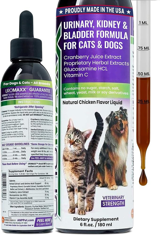 Cat & Dog Urinary Tract Treatment, Bladder & Kidney Support for Dogs and Cats, Powerful Yet Gentle Pet Care, with Liquid Cranberry & Glucosamine, Chicken Flavor, 6 oz Bottle, 1 Pack-PawvioPets