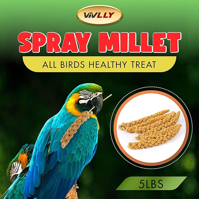5LBS GMO-Free Sun Dried Spray Millet - Original Bird Treat Millet for Parakeets, Cockatiels, Finches & More - Non-GMO, High in Amino Acids, Easy Storage, Tasty & Healthy Bird Snacks (5 lbs)-PawvioPets