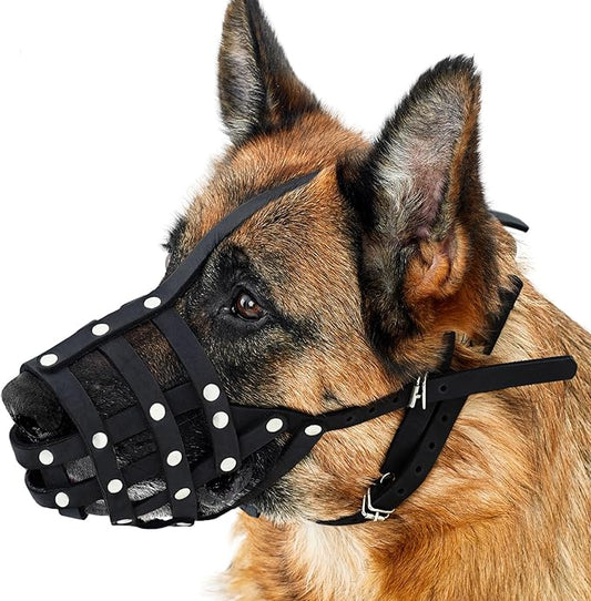 CollarDirect Dog Muzzle German Shepherd Dalmatian Doberman Setter Leather Basket Medium Large Breeds (Black, Large)-PawvioPets