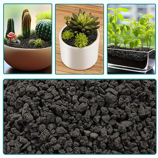 2.5lbs Small Lava Rocks for Plants Drainage, 1/5 Inch Black Gravel Mulch for House Plants, Succulent Rocks Pebbles for Planters,Cactus, Bonsai Tree, Pure Volcanic Rocks, Top-Dressing-PawvioPets