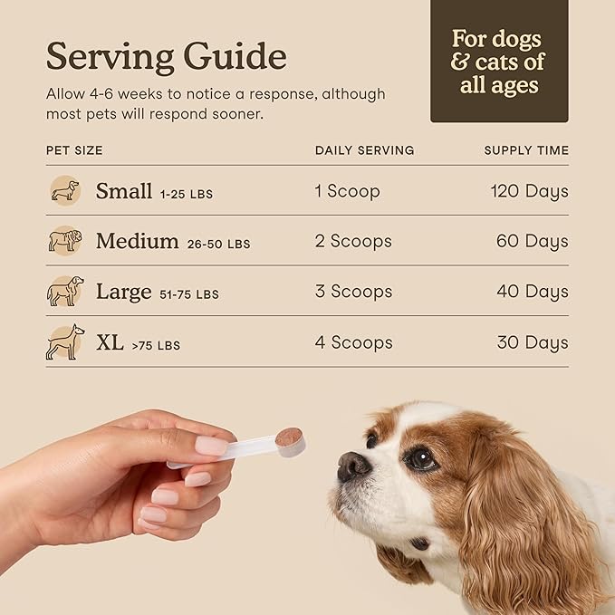 Fera Pets Mushroom Supplement for Dogs & Cats with Turkey Tail - USDA Organic - Cognitive and Immune Support - Enhances Liver Function - Supports a Healthy Gut - Powder - 120 Scoops-PawvioPets