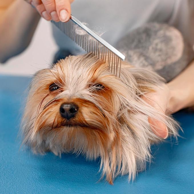 7.5" Fine Comb-PawvioPets