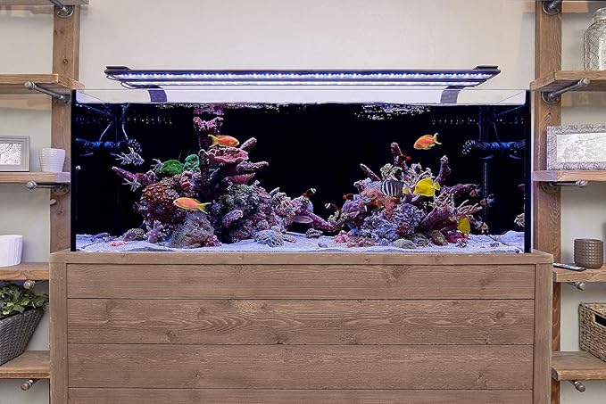 Current USA 24-36" Inch Orbit Marine LED Saltwater Reef Marine Aquarium Light | 24 Hour IR Lighting & eFlux Wave Pump Control | Adjustable Color Spectrum for Fish Tank (4101)-PawvioPets