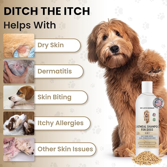 5-in-1 Premium Oatmeal Shampoo for Dogs, Gentle for Itchy & Sensitive Skin, Provides Itch Relief, Hypoallergenic & Soothing for Dry Skin, Moisturizing Anti-Itch, Made in USA, 16 oz [We Love Doodles]-PawvioPets
