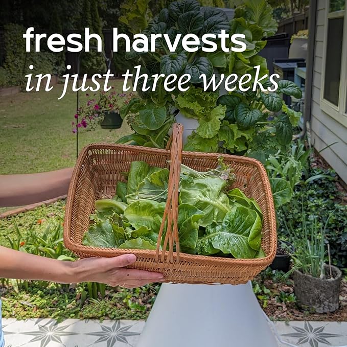 Farmstand Starter Kit + 18 Seedling Credits | Small Hydroponic Growing System Kit | Self-Watering Outdoor Vertical Garden Planter Tower | 4ft 3in | Made in USA-PawvioPets