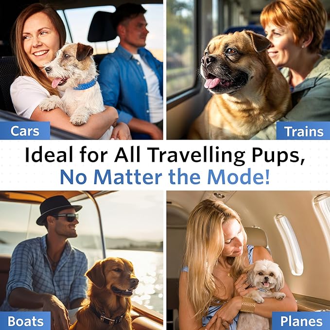 Anti-Motion Sickness and Nausea Relief for Medium Breed Dogs, Relief for Disorientation and Dizziness, 20 Tablets-PawvioPets