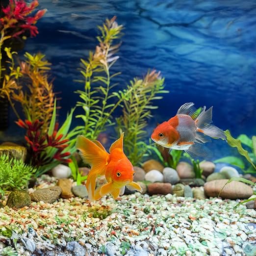 40lbs White River Rocks for Landscaping, 3-4 Inch Large Natural Unpolished Bulk Pebbles, Hand-Picked Premium Stones for Garden Design Fish Tank, Pathways and Backyard-PawvioPets