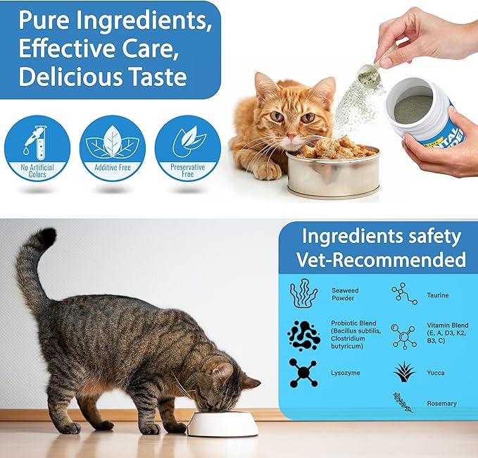Cat Dental Care Powder Bad Breath Treatment for Cats Teeth, Mouth, Gums & Gut, Plaque Off,Tartar Control, Help Feline Gingivitis and Stomatitis, with Natural Extracts & Probiotics-PawvioPets