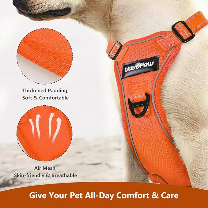 Dog Seat Belt Harness for Car, Dog Car Harness Adjustable Mesh Breathable & Dogs Seatbelt Safety Tether with Elastic Bungee for Small Medium Large Pets(Orange, S)-PawvioPets