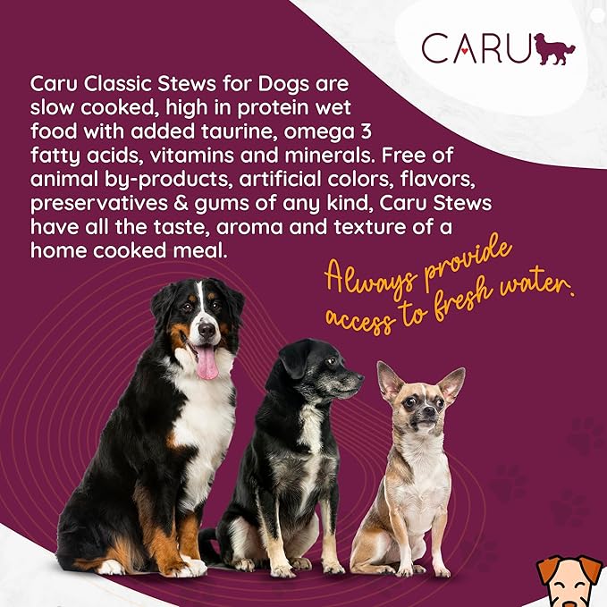Caru - Classics Chicken Stew for Dogs - Healthy Wet Dog Food or Food Topper - Balanced Omega Blend - 12.5 oz Cartons - Pack of 4-PawvioPets