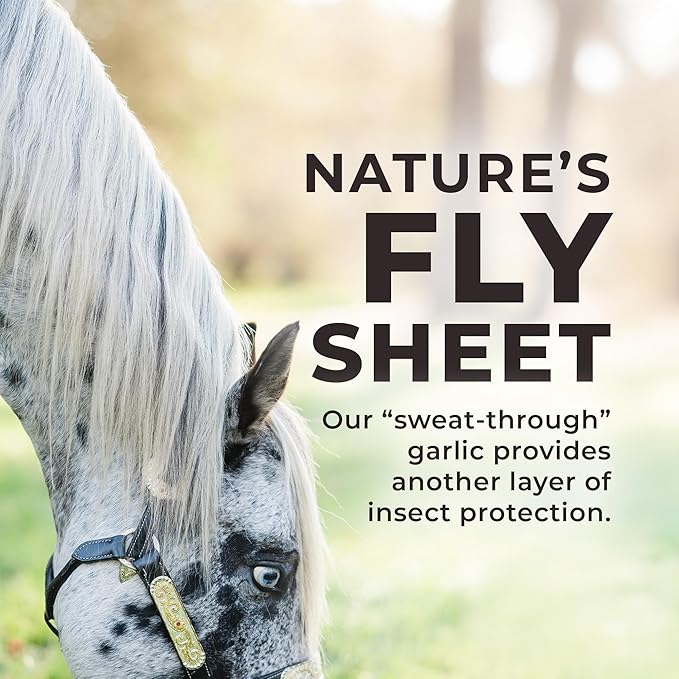 Daily Red Fortified w/Garlic - Horse Vitamin & Mineral Supplement 5 lb Pouch-PawvioPets