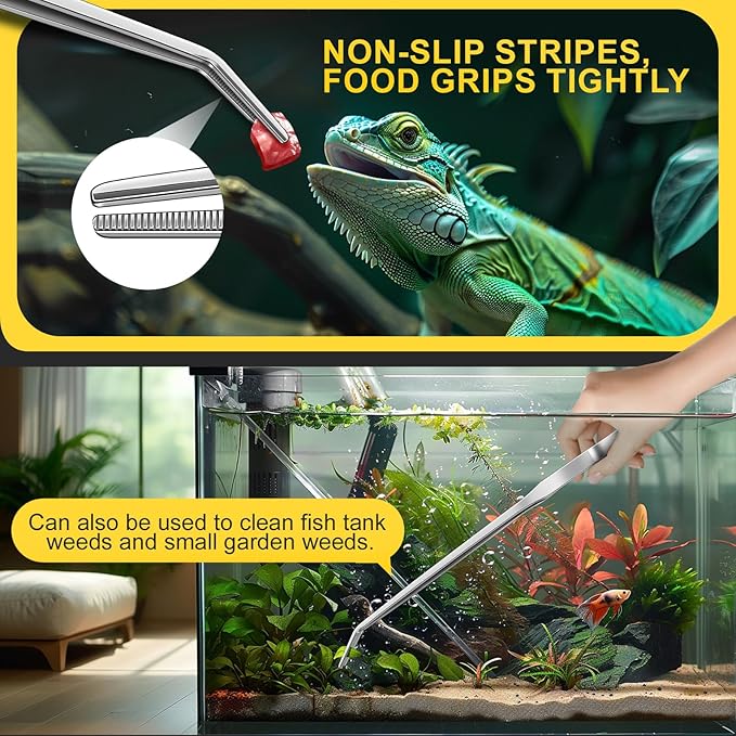 2pcs Reptile Feeding Tongs, Feeding Spoon, Stainless Steel Aquarium Feeding Tools, Curved Long Tweezers 10.6 in, Long Spoon 10 in (Coffee Spoon) for Feeding Lizards, Bearded Dragons and More.-PawvioPets
