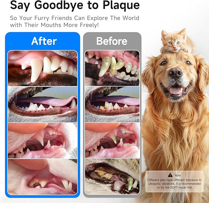 Electric Dog Plaque & Tartar Remover - Pet Teeth Cleaning Kit with LED Light, 5 Adjustable Modes, Safe and Low Noise – Easy Home Dental Care for Dogs and Cats-PawvioPets