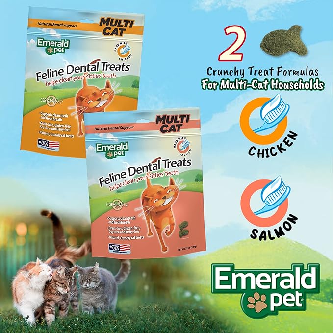 Feline Dental Treats — Tasty and Crunchy Cat Dental Treats Grain Free — Natural Dental Treats to Clean Cat Teeth, Freshen Breath, Reduce Plaque and Tartar Buildup — Salmon Treats, 32 oz (32 oz)-PawvioPets