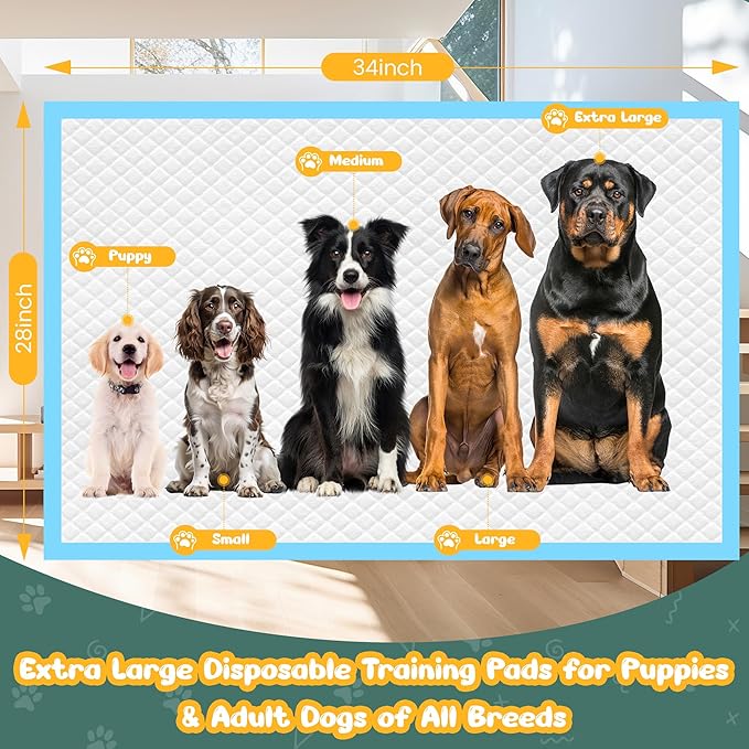 Extra Large Puppy Pads 28" x 34"-30 Count, Super Absorbent Dog Pee Pads Quick Drying Leak-Proof X-Large Dog Training Pads Disposable Training Pads for Dogs Puppies Cats-PawvioPets