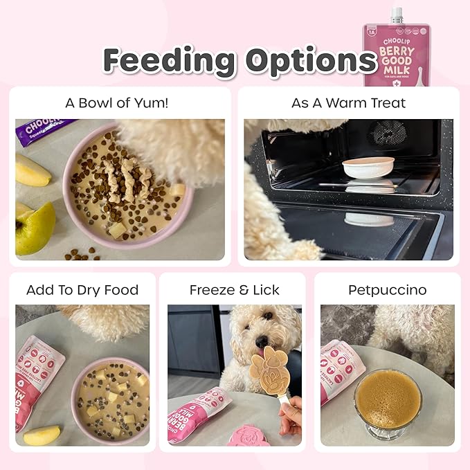 Berry Good Milk is a Lactose-Free, Vitamin-Infused Drink for Cats and Dogs. It Supports Urinary Health, Digestion, and Joint Function. Free from antibiotics, Grains, and Gluten.-PawvioPets