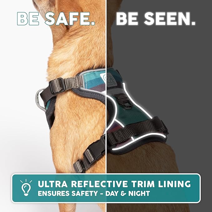 Embark Adventure Dog Harness, Reflective Trim XL Dog Harness for Extra Large Dogs No Pull - Military Grade Nylon, 2 Leash Clips & Gel Lined Handle. Soft & Padded Puppy Dog Harnesses for Any Breed-PawvioPets