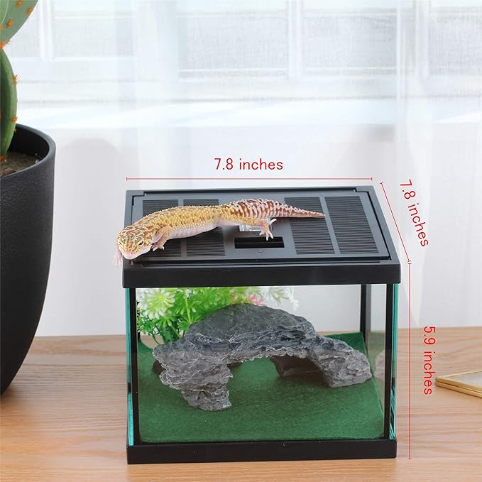 crapelles Glass Lizard Tank, Spider Box Kit, 7.8x7.8x5.9'' Tarantula Feeder Insects Beetle Habitat, Amphibians Terrarium for Small Pet, with Washable Mat, Resin Rock Shape Hideout, Artificial Flower-PawvioPets