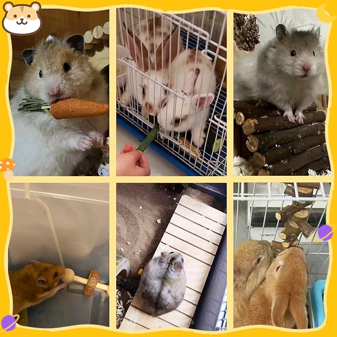 18 PCS Hamster Chew Toys Set, Natural Apple Wood Guinea Pig Toys, Hamster Cage Accessories Include Bridge, Seesaw, Carrot, Timothy Straw Stick Dental Care for Rat Gerbil Chinchilla Rabbits-PawvioPets