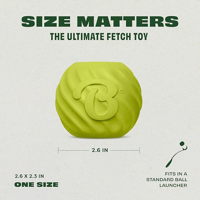 Benebone 2-Pack Rubber Ball-PawvioPets